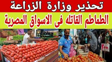 “كارثة في الأسواق ”..وزارة الصحة تحذر من شراء هذا النوع من الطماطم من السوق! يسبب الوفاة