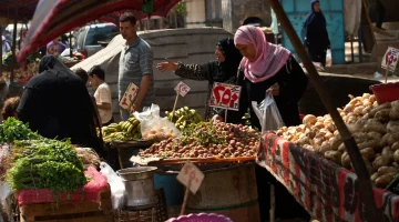 بعد حظر التصدير.. مفاجأة بشأن أسعار البصل والطماطم في الأسواق