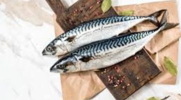 «بكام كيلو سمك البوري انهارده».. إليكم أسعار الأسماك اليوم الأربعاء الموافق 20 سبتمبر 2023 _ اليكم الأسعار!