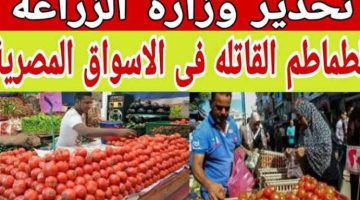 كارثة في الأسواق ”..وزارة الصحة تحذر من شراء هذا النوع من الطماطم من السوق! يسبب الوفاة
