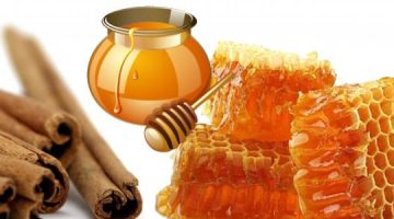 إعداد تناول القرفة والعسل للتخسيس وإذابة دهون البطن والأرداف بدون رجيم قاسي أو جهد كبير