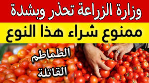 "سم قاتل في الطماطم".. وزارة الزراعة تحذر من وجود نوع من الطماطم قد يسبب الوفاة.. خدي بالك!!!!