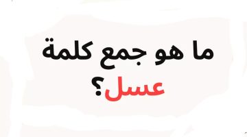اللغز الذي حير جميع عمالقة اللغة العربية.. هل تعرف ما هو جمع كلمة”عسل” في اللغة العربية!